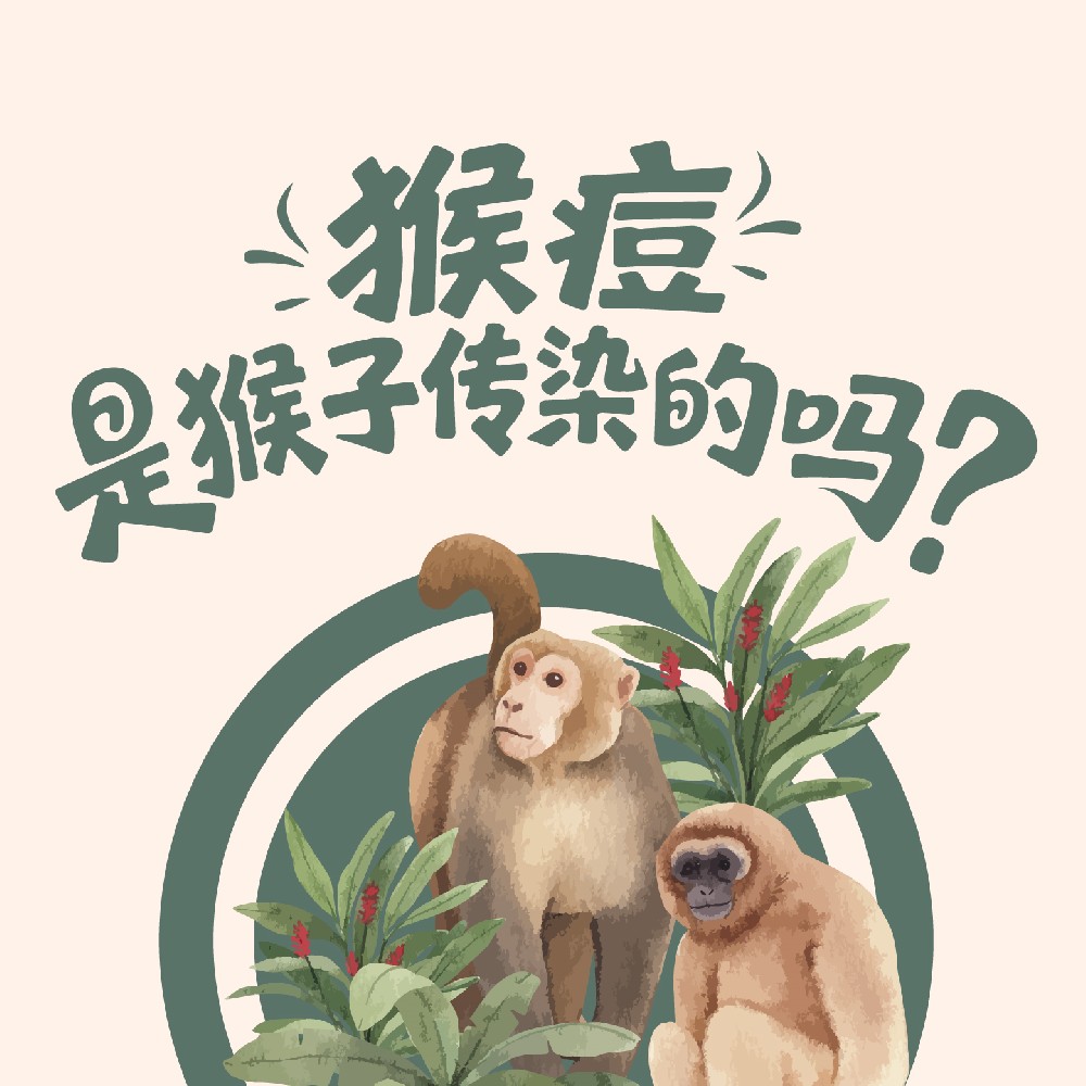 【健康科普】猴痘是猴子传染的吗？
